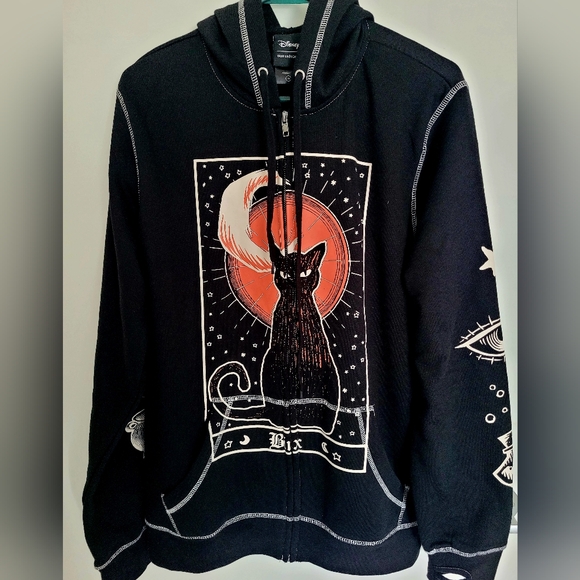 Hocus Pocus Binx Disney Halloween Hoodie - Picture 1 of 6